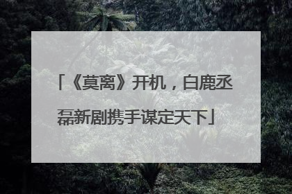《莫离》开机，白鹿丞磊新剧携手谋定天下