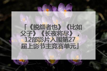 《脱缰者也》《比如父子》《长夜将尽》，12部影片入围第27届上影节主竞赛单元