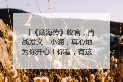 《藏海传》收官，肖战发文：小海，真心地为你开心！你看，有这么多人懂你！