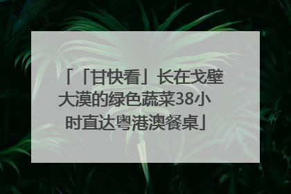 「甘快看」长在戈壁大漠的绿色蔬菜38小时直达粤港澳餐桌