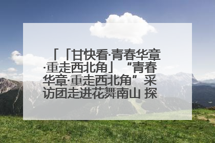 「甘快看·青春华章·重走西北角」“青春华章·重走西北角”采访团走进花舞南山 探寻天水乡村振兴之路