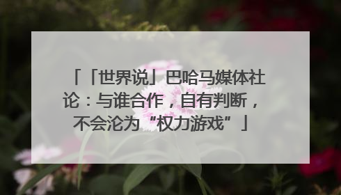 「世界说」巴哈马媒体社论：与谁合作，自有判断，不会沦为“权力游戏”