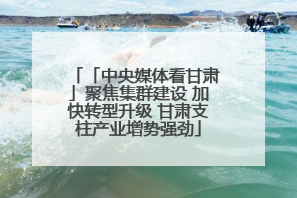 「中央媒体看甘肃」聚焦集群建设 加快转型升级 甘肃支柱产业增势强劲