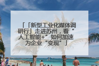 「新型工业化媒体调研行」走进苏州，看“人工智能+”如何加速为企业“变现”