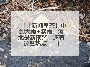 「新闻早茶」中到大雨+暴雨！河北最新预警，还有这些热点……