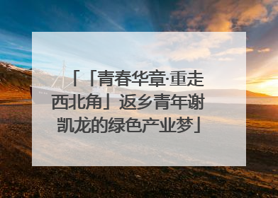 「青春华章·重走西北角」返乡青年谢凯龙的绿色产业梦