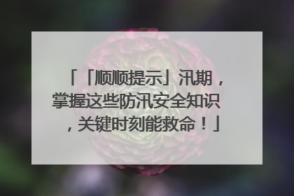 「顺顺提示」汛期，掌握这些防汛安全知识，关键时刻能救命！