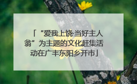 “爱我上饶·当好主人翁”为主题的文化赶集活动在广丰东阳乡开市