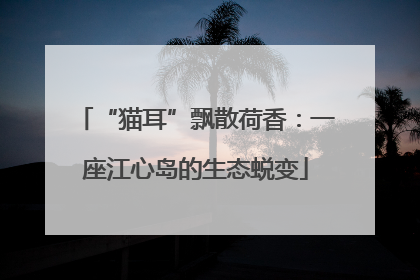 “猫耳”飘散荷香：一座江心岛的生态蜕变