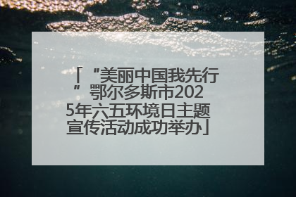 “美丽中国我先行”鄂尔多斯市2025年六五环境日主题宣传活动成功举办