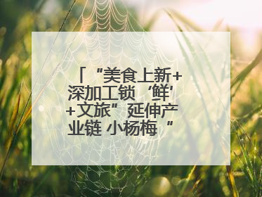 “美食上新+深加工锁‘鲜’+文旅”延伸产业链 小杨梅“撬动”大产业