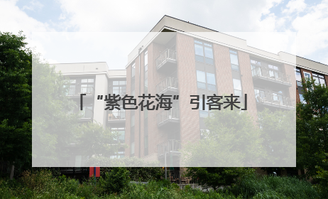 “紫色花海”引客来