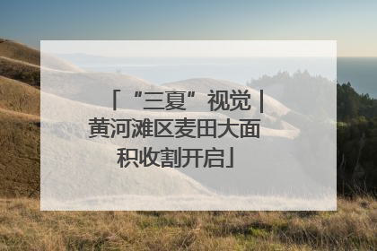 “三夏”视觉｜黄河滩区麦田大面积收割开启