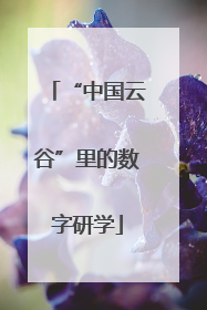 “中国云谷”里的数字研学