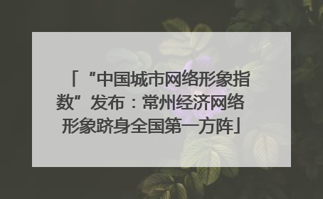 “中国城市网络形象指数”发布：常州经济网络形象跻身全国第一方阵