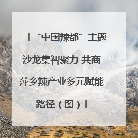 “中国辣都”主题沙龙集智聚力 共商萍乡辣产业多元赋能路径（图）