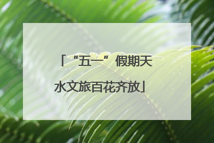 “五一”假期天水文旅百花齐放