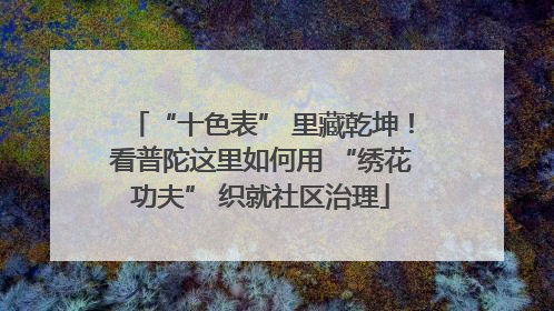 “十色表” 里藏乾坤！看普陀这里如何用 “绣花功夫” 织就社区治理