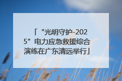 “光明守护-2025”电力应急救援综合演练在广东清远举行