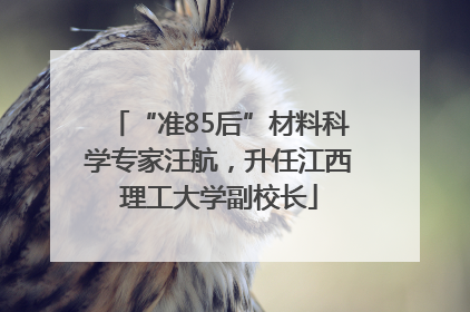 “准85后”材料科学专家汪航，升任江西理工大学副校长