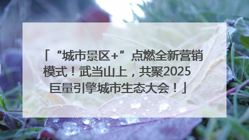 “城市景区+”点燃全新营销模式！武当山上，共聚2025巨量引擎城市生态大会！