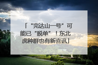 “完达山一号”可能已“脱单”！东北虎种群也有新喜讯