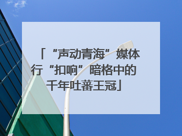 “声动青海”媒体行“扣响”暗格中的千年吐蕃王冠