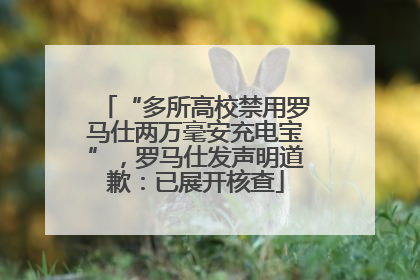 “多所高校禁用罗马仕两万毫安充电宝”，罗马仕发声明道歉：已展开核查