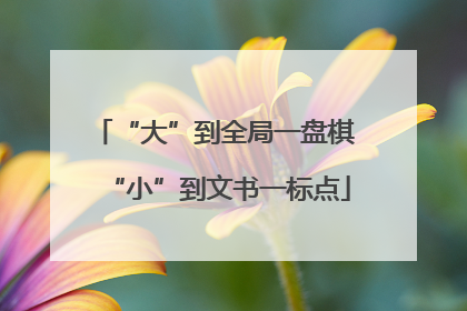 “大”到全局一盘棋 “小”到文书一标点