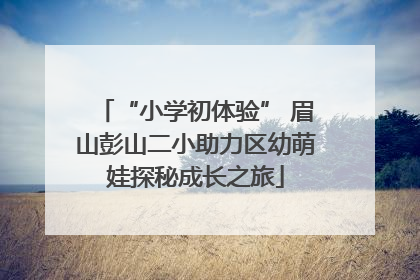 “小学初体验” 眉山彭山二小助力区幼萌娃探秘成长之旅