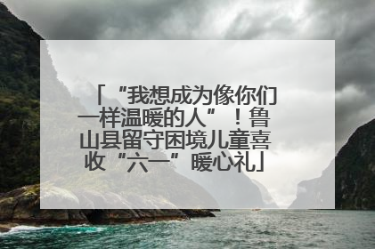 “我想成为像你们一样温暖的人”！鲁山县留守困境儿童喜收“六一”暖心礼