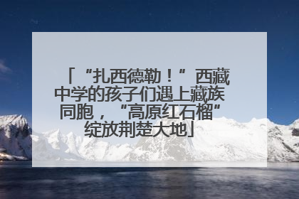 “扎西德勒！”西藏中学的孩子们遇上藏族同胞，“高原红石榴”绽放荆楚大地