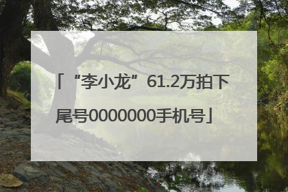 “李小龙”61.2万拍下尾号0000000手机号