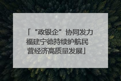 “政银企”协同发力 福建宁德持续护航民营经济高质量发展