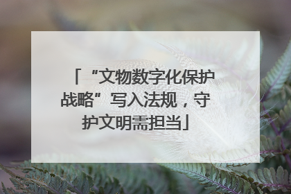 “文物数字化保护战略”写入法规，守护文明需担当