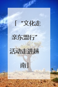 “文化走亲东盟行”活动走进越南
