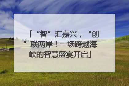 “智”汇嘉兴，“创”联两岸！一场跨越海峡的智慧盛宴开启