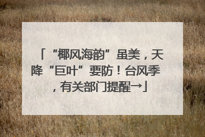 “椰风海韵”虽美，天降“巨叶”要防！台风季，有关部门提醒→