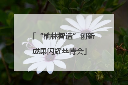 “榆林智造”创新成果闪耀丝博会