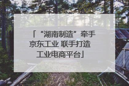 “湖南制造”牵手京东工业 联手打造工业电商平台