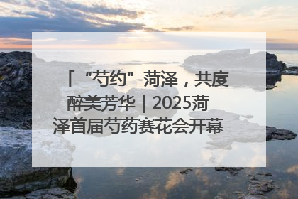 “芍约”菏泽，共度醉美芳华｜2025菏泽首届芍药赛花会开幕，103家企业参赛
