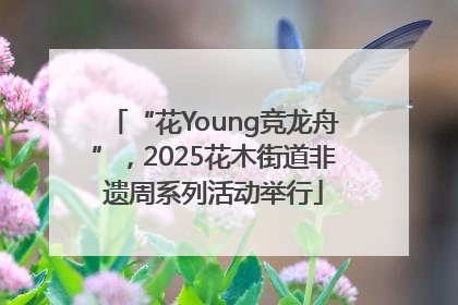 “花Young竞龙舟”，2025花木街道非遗周系列活动举行
