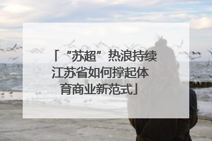 “苏超”热浪持续 江苏省如何撑起体育商业新范式