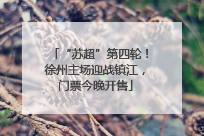 “苏超”第四轮！徐州主场迎战镇江，门票今晚开售