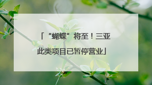“蝴蝶”将至！三亚此类项目已暂停营业