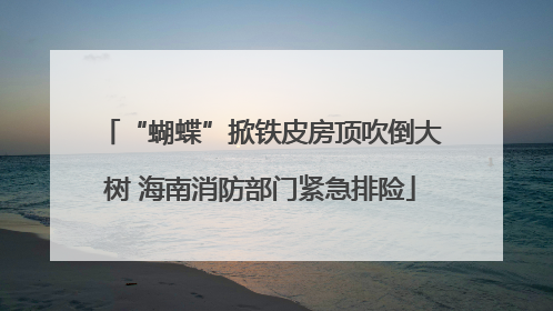 “蝴蝶”掀铁皮房顶吹倒大树 海南消防部门紧急排险