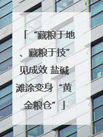 “藏粮于地、藏粮于技”见成效 盐碱滩涂变身“黄金粮仓”