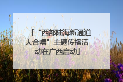“西部陆海新通道大合唱”主题传播活动在广西启动