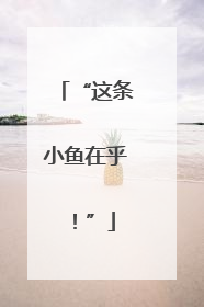 “这条小鱼在乎！”