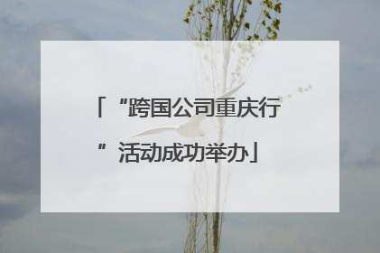 “跨国公司重庆行”活动成功举办